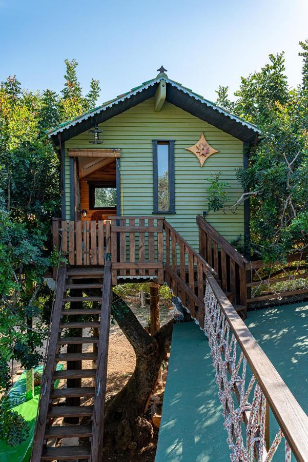 Вілла Casa Del Arbol - Tierra De Arte San Jorge  Екстер'єр фото