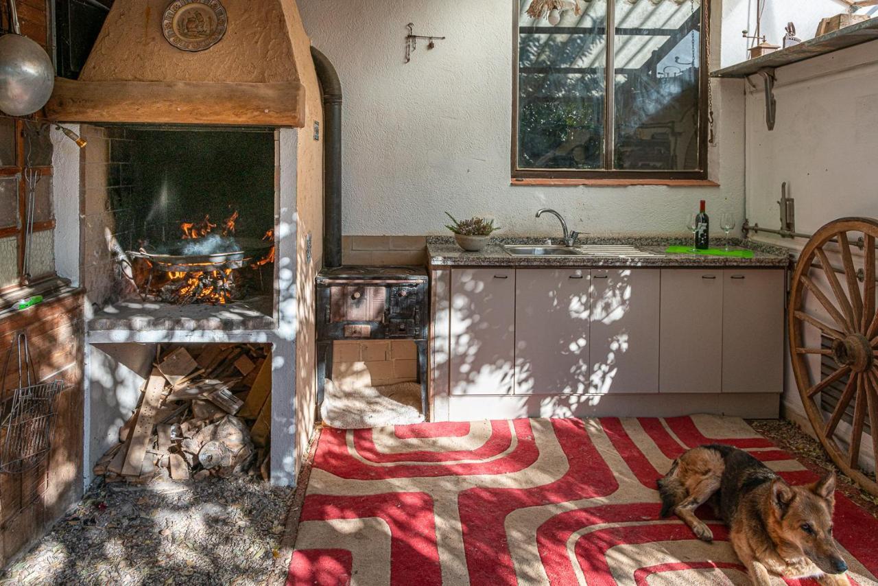 Вілла Casa Del Arbol - Tierra De Arte San Jorge  Екстер'єр фото